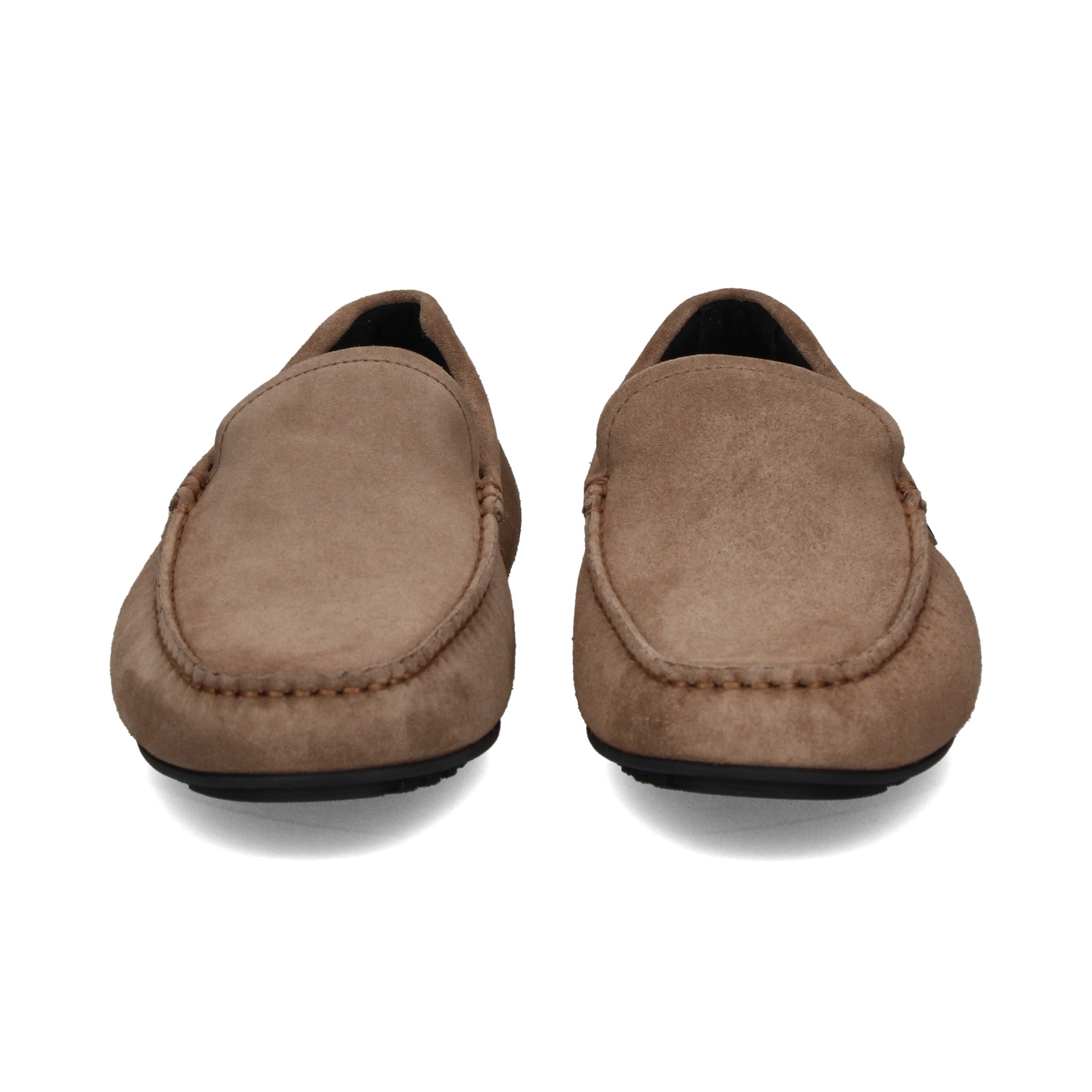 conductor-ante-beige