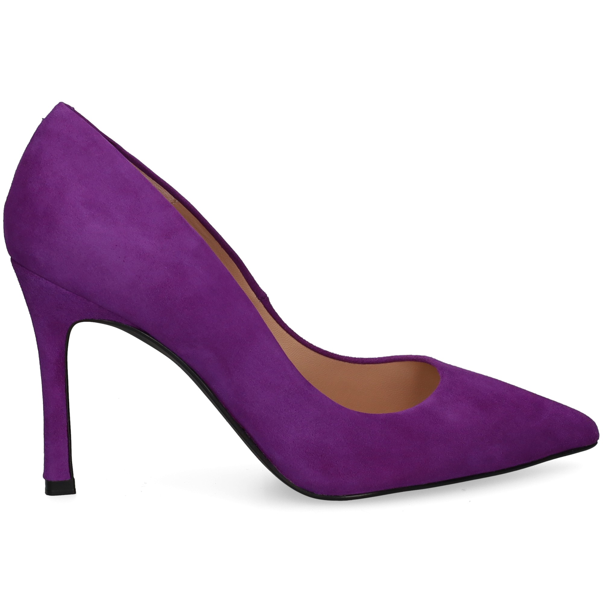 salon-ante-purple