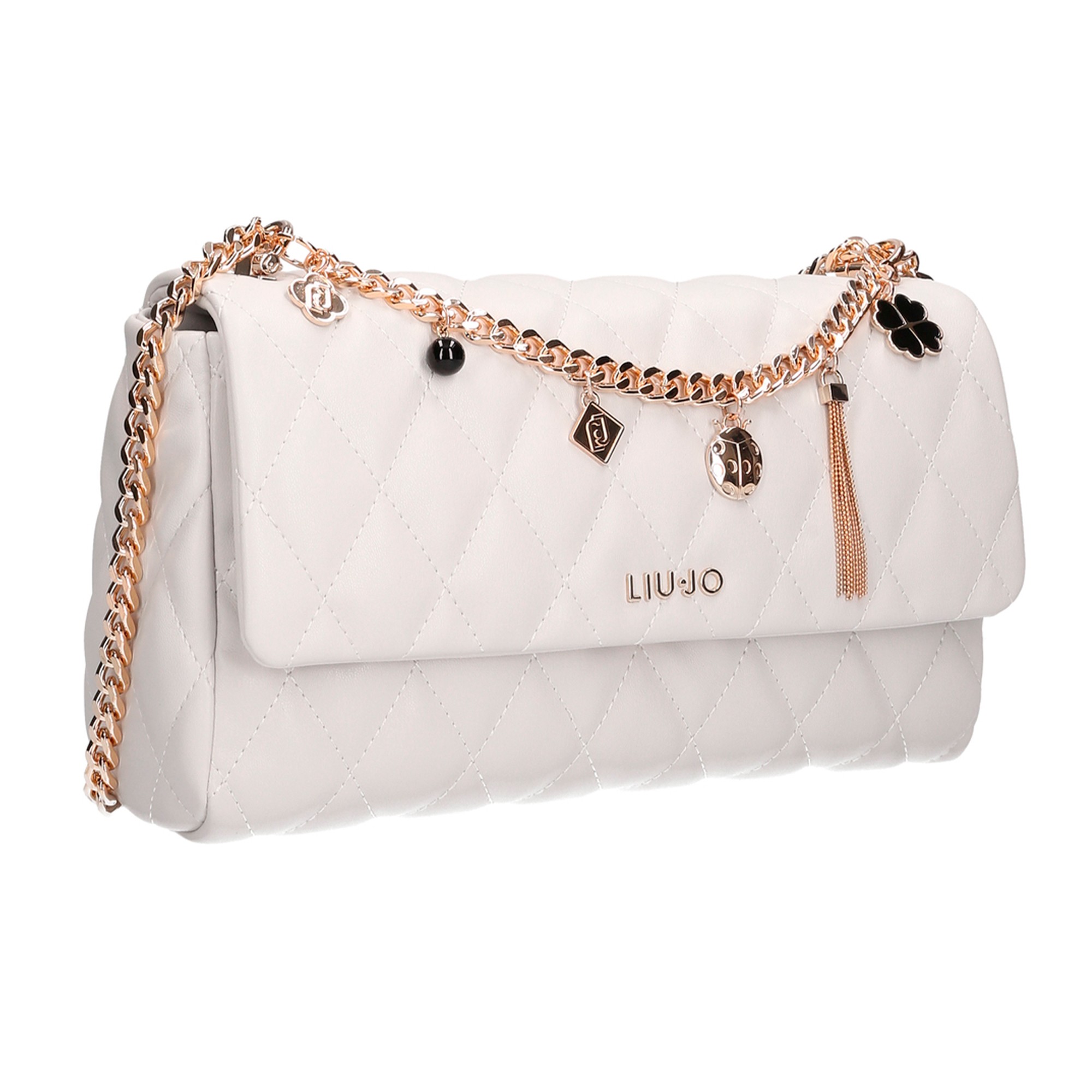 bolso