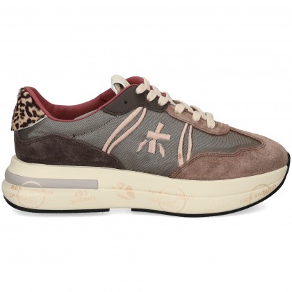 BANDA BEIGE MULTI GRIS VAR 7003