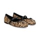 C1 LEOPARDO