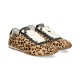 C1 LEOPARDO