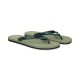 311 Medium Gree