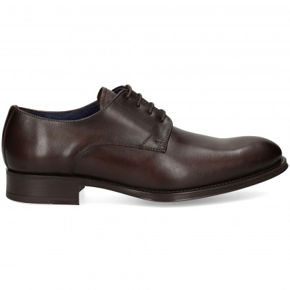 blucher-liso-moka