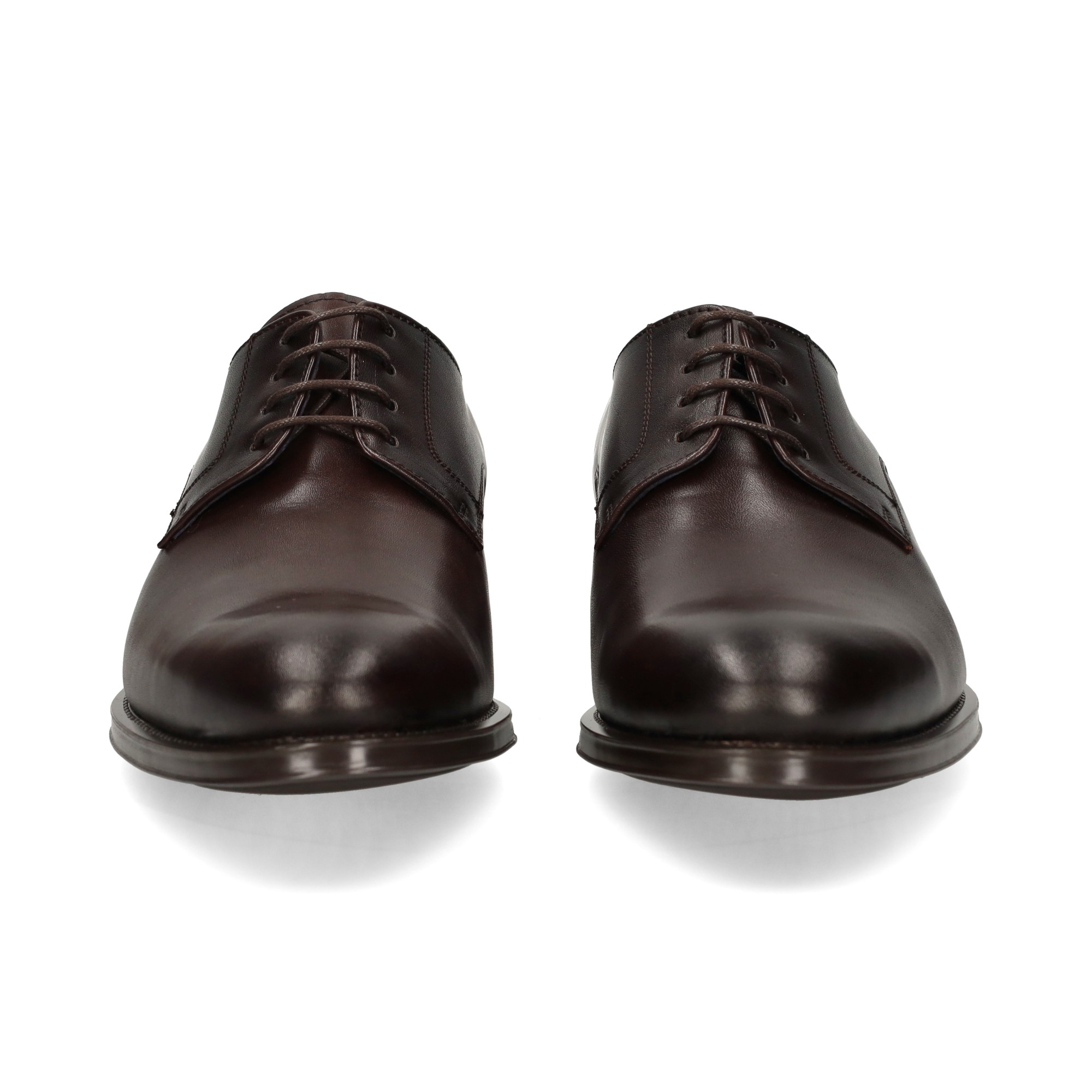 blucher-liso-moka