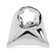 SHINY SILVER