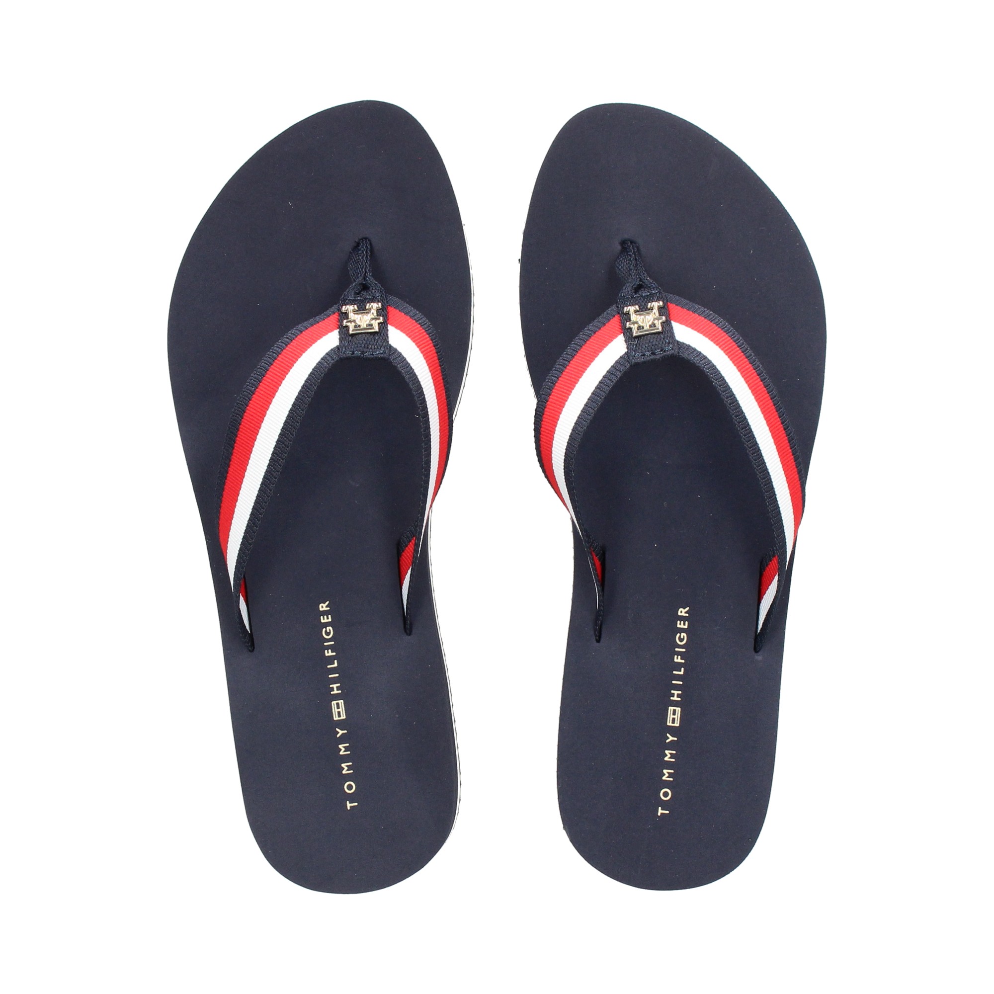 flip-flop-cinta-multicolor-azul
