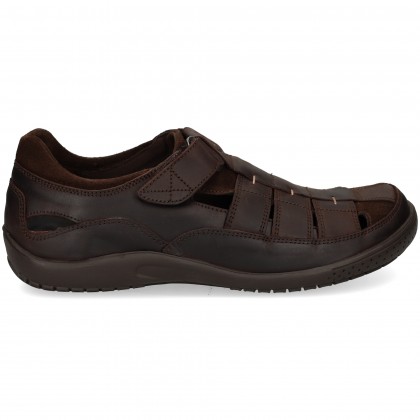 BONANZA GRASS MARRON C1 BROWN 