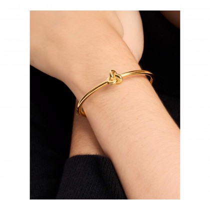 brazalete