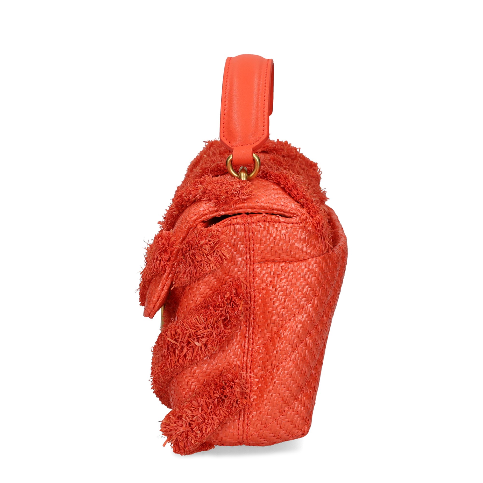 bolso