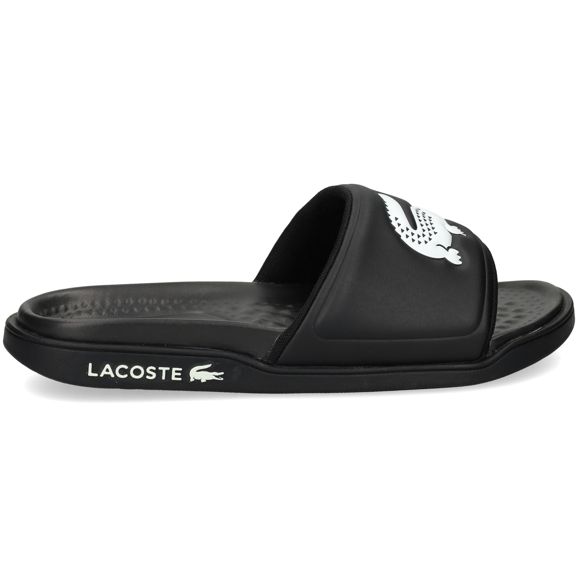 coco-blanco-pala-pool-negro