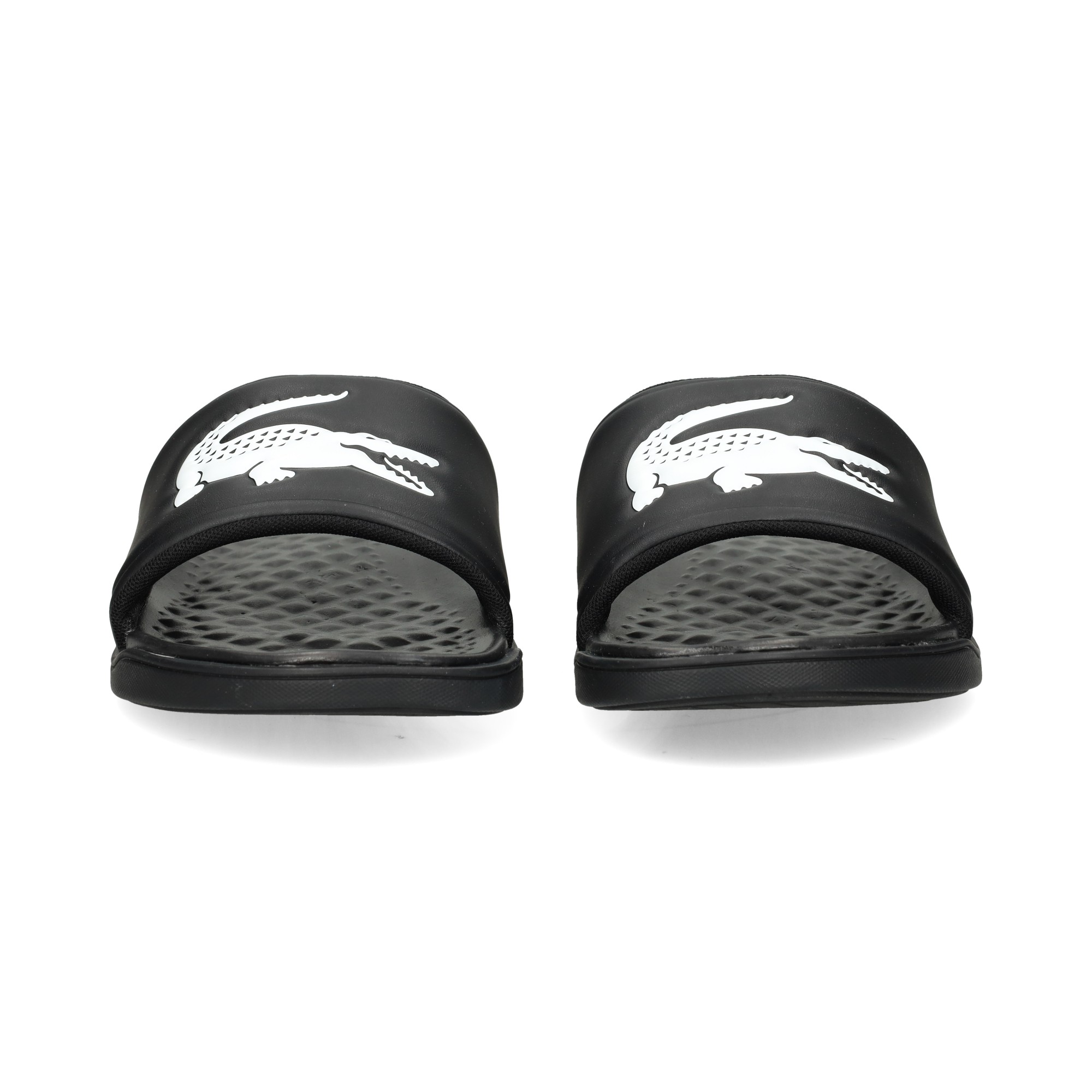 coco-blanco-pala-pool-negro