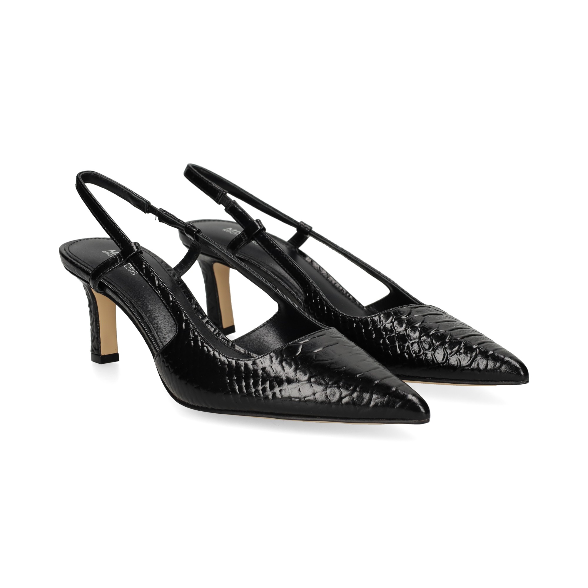 sin-talon-reptil-negro
