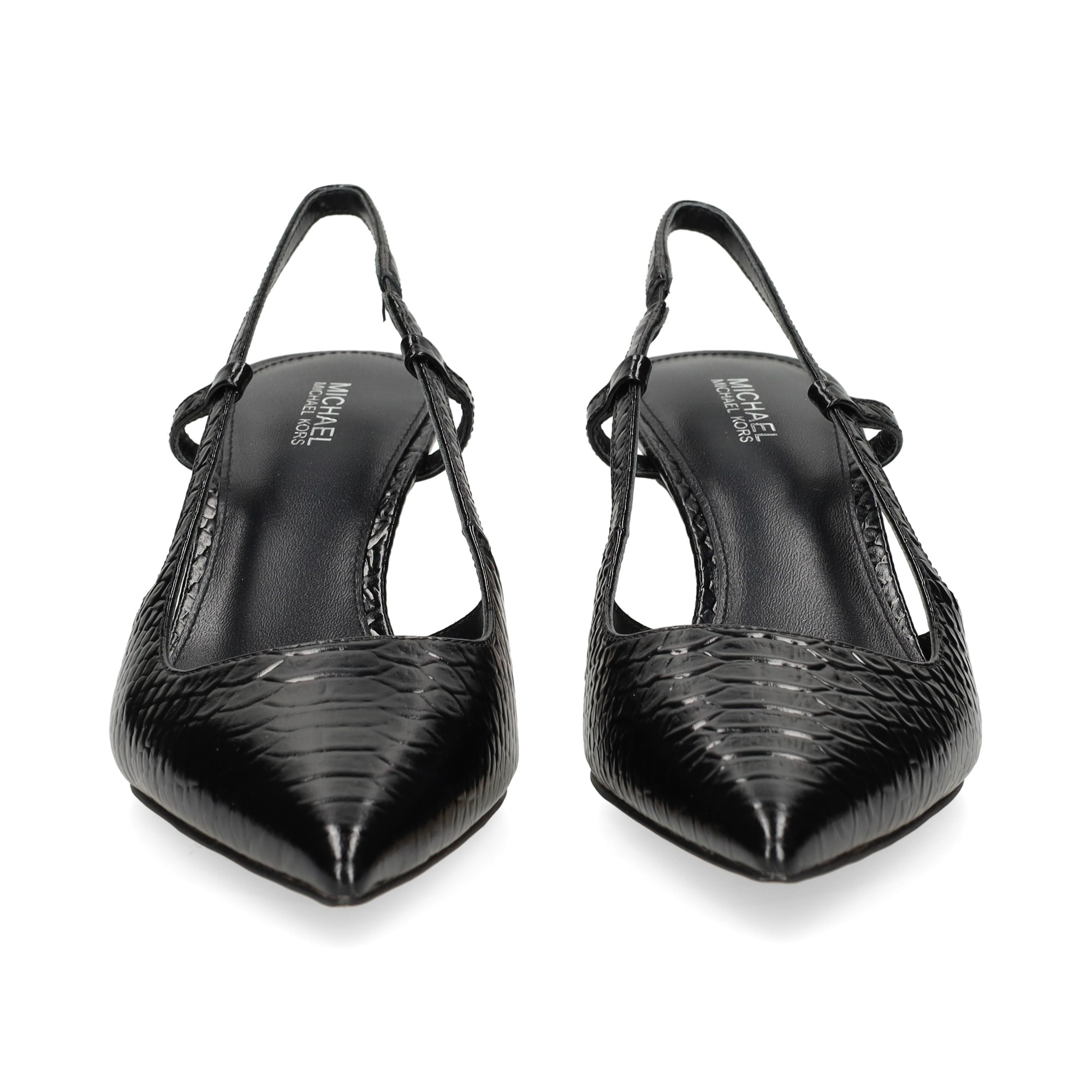sin-talon-reptil-negro