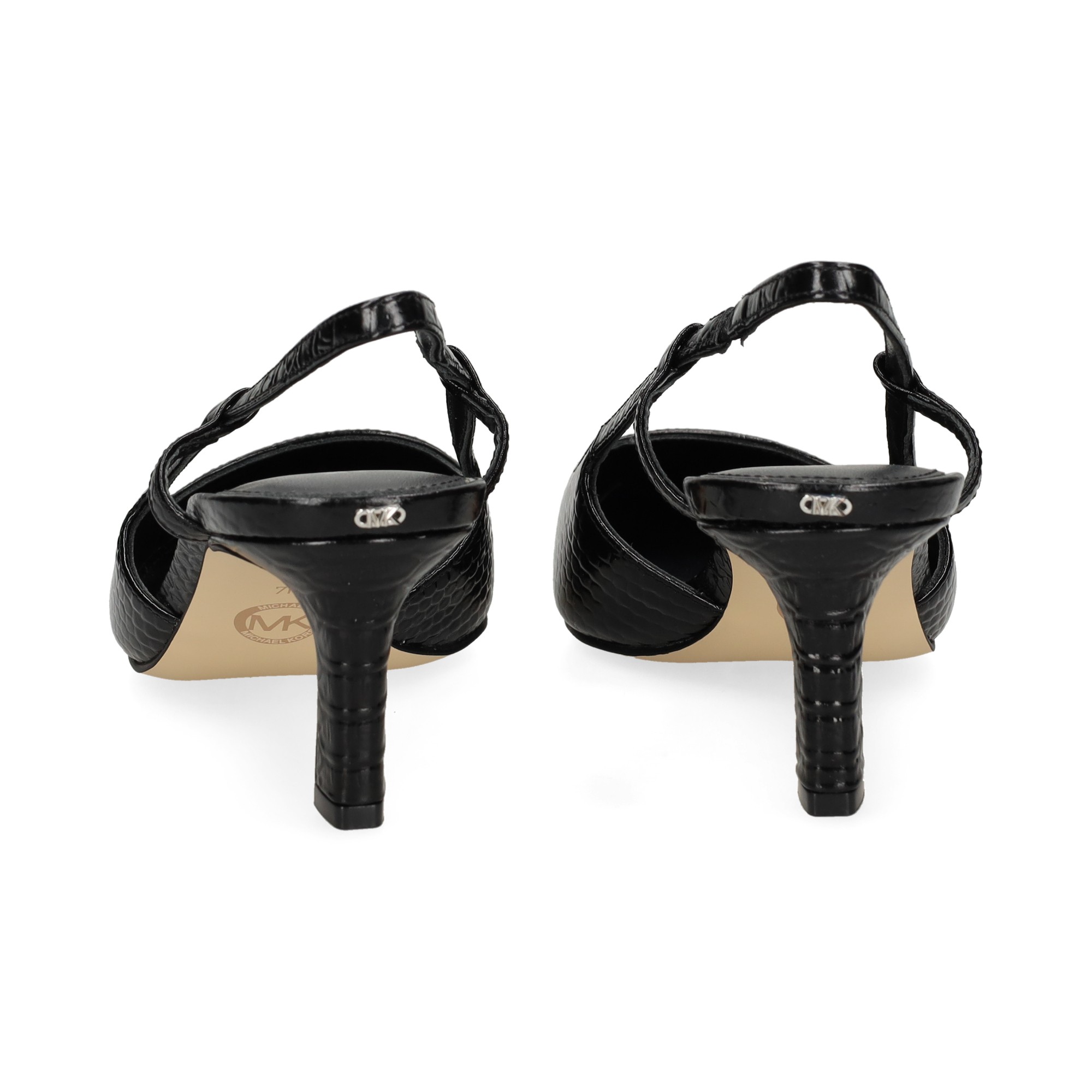 sin-talon-reptil-negro