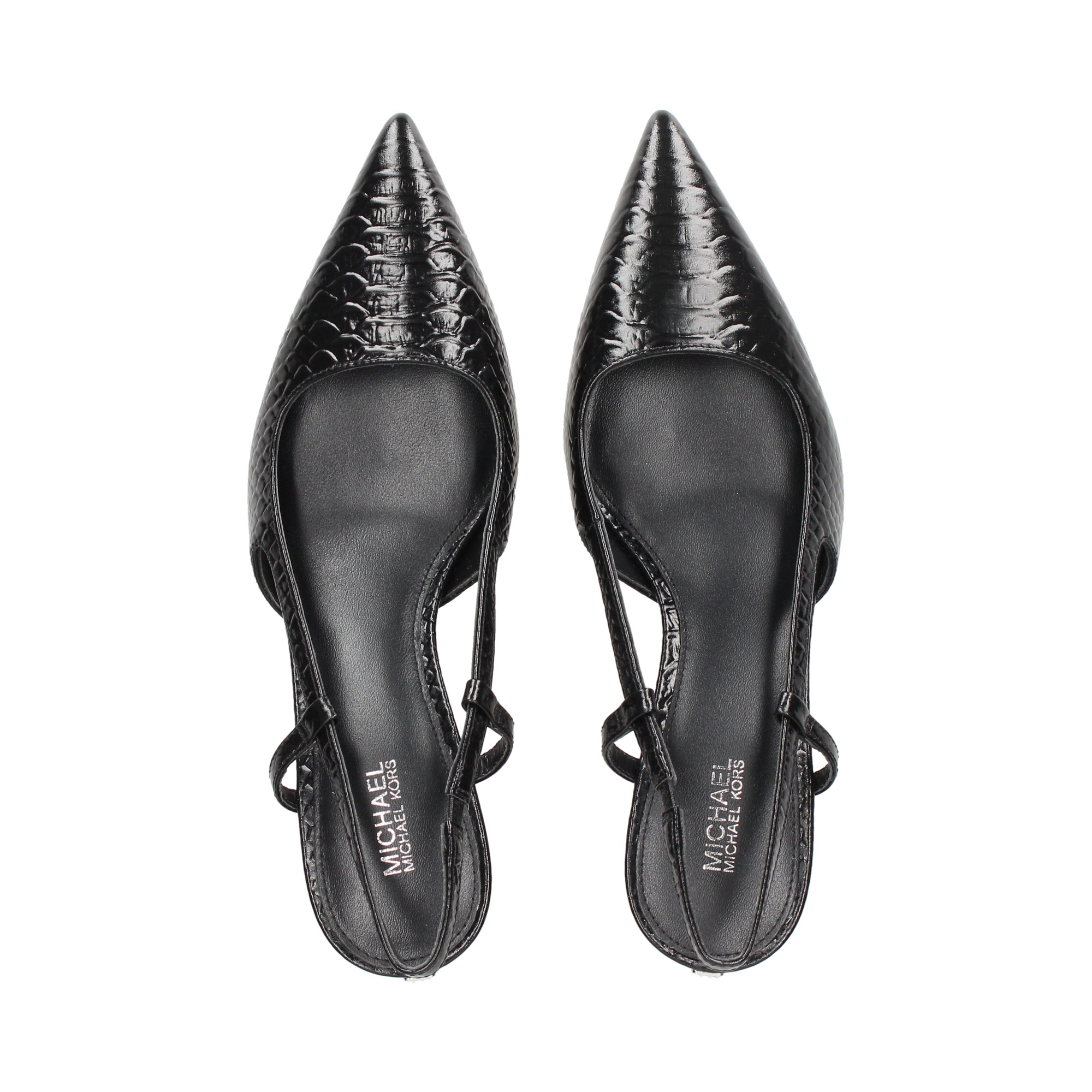 sin-talon-reptil-negro