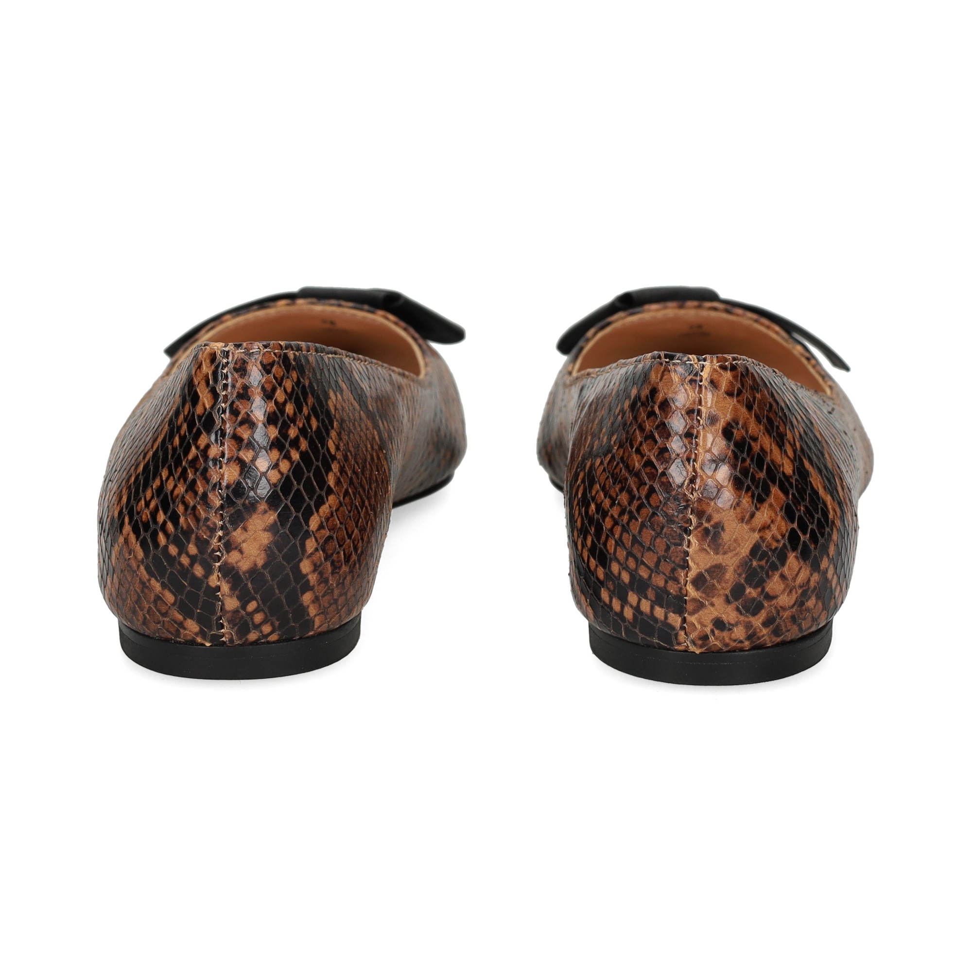 bailarina-lazo-reptil-marron